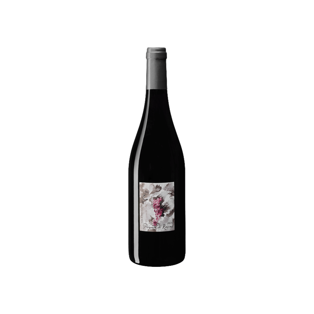 2023 Cotes du Rhone Poignee de Raisins Domaine Gramenon