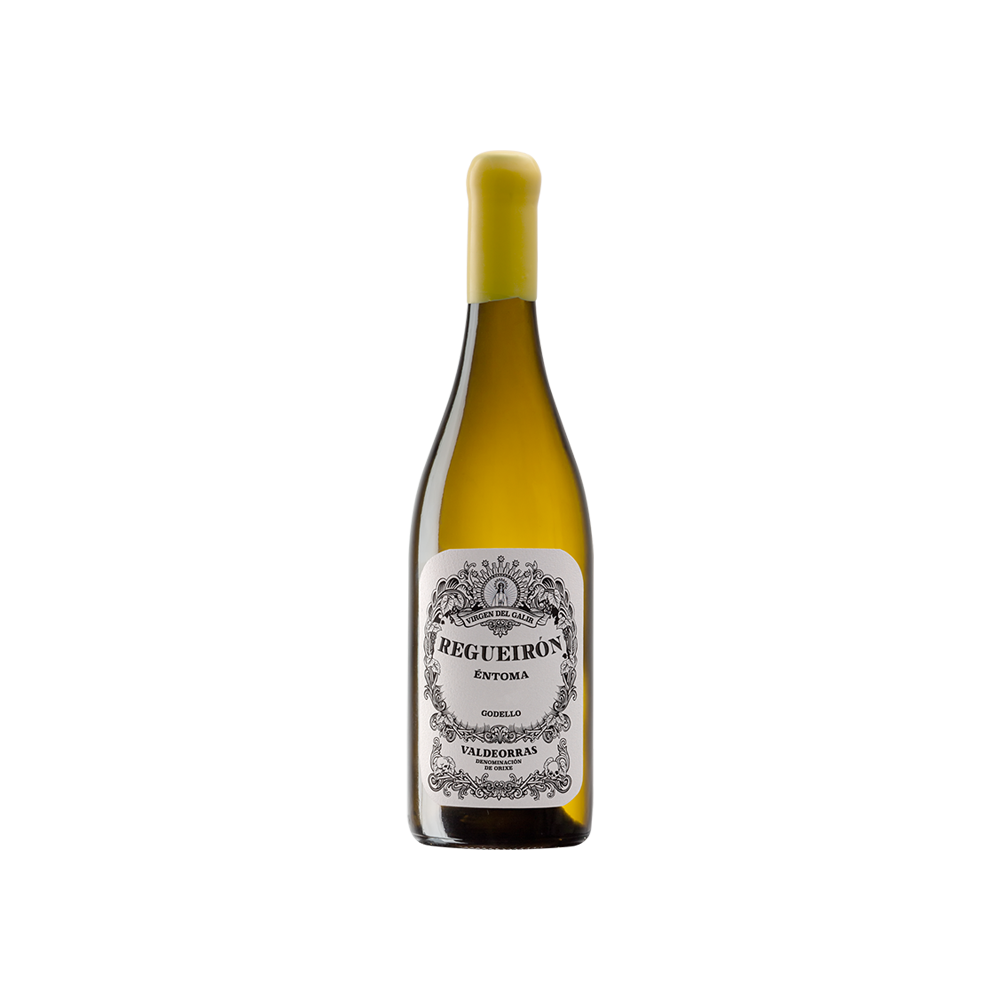 2021 Regueiron Godello Virgen del Galir CVNE