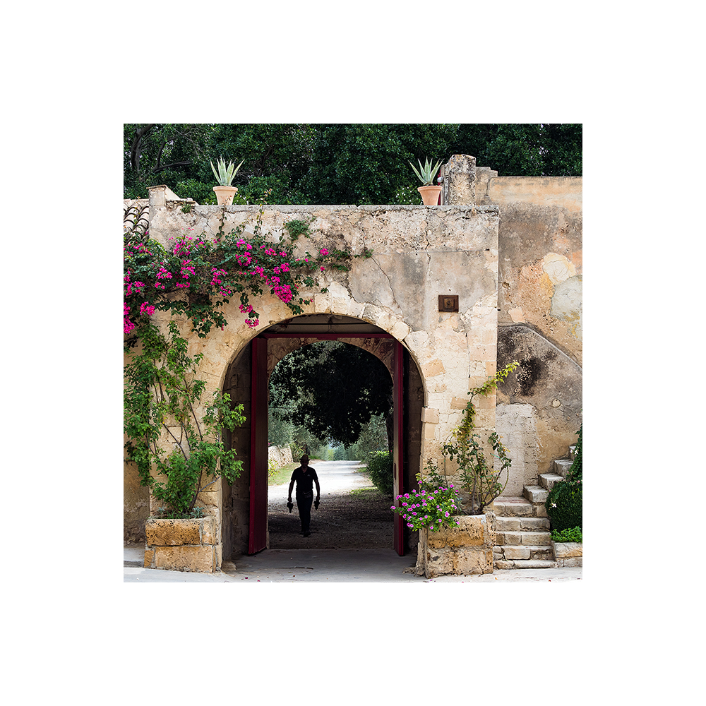 Zisola Classic Wine Tour