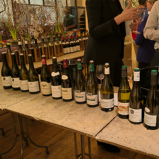 Burgundy 2023 Tasting: Get our expert's insights
