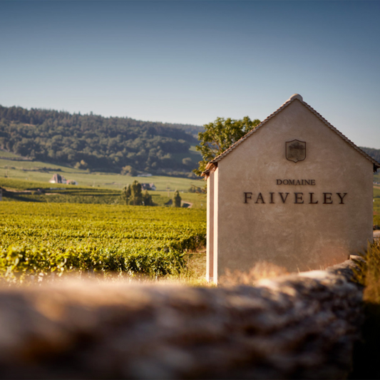 Burgundy En-Primeur 2023: Vintage Overview