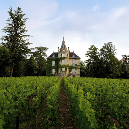 Bordeaux 2024: Our Top Recommendations