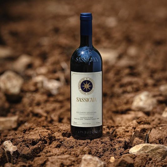 Perfect Score For Sassicaia 2021
