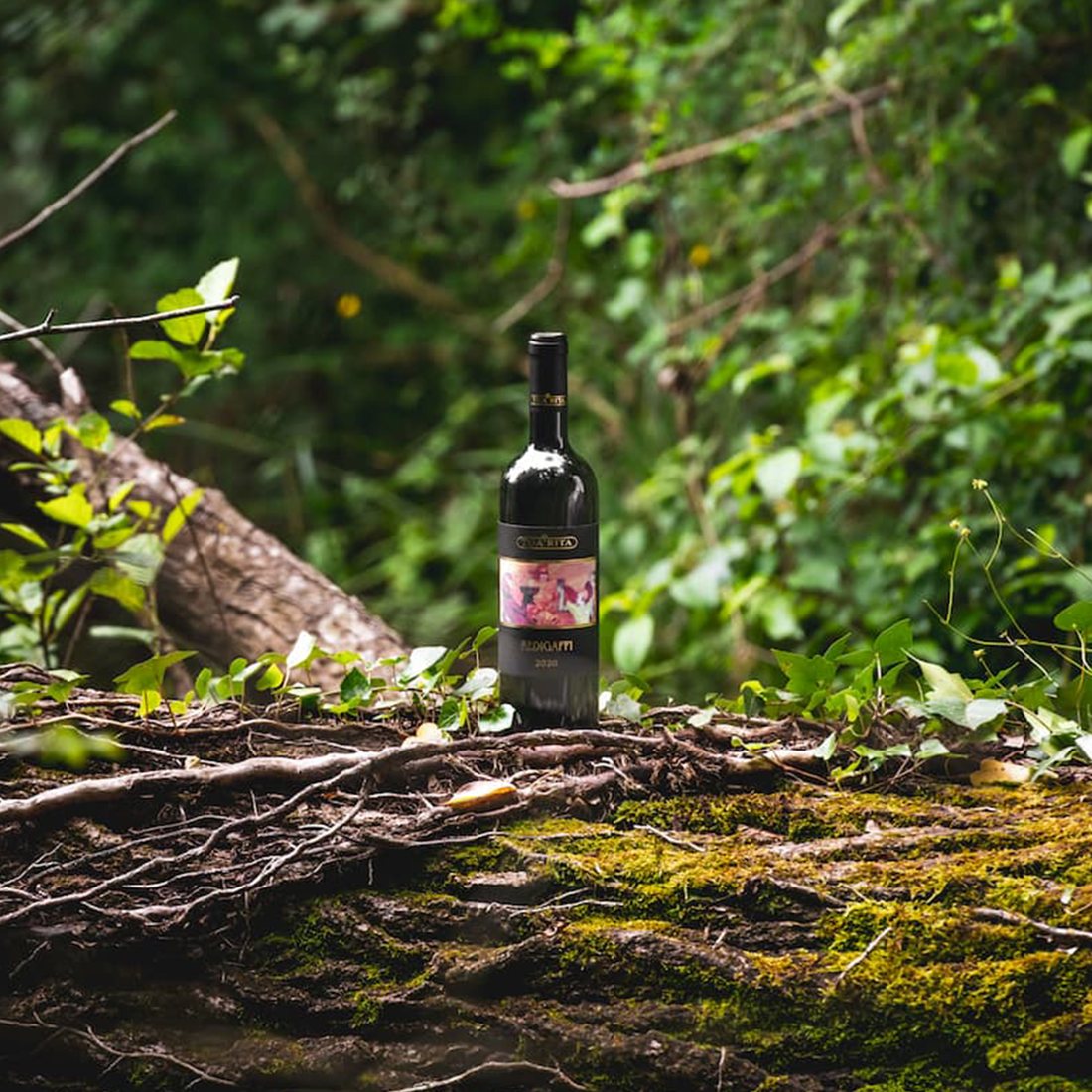 Tua Rita's Latest Releases