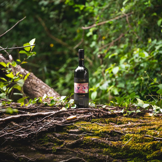 Tua Rita's Latest Releases