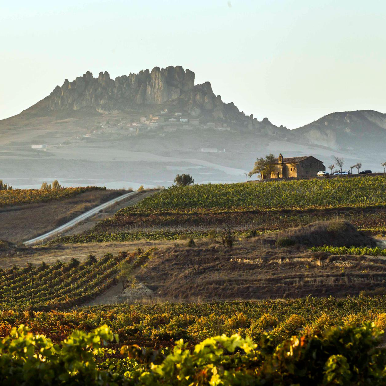 Rioja – Petersham Cellar