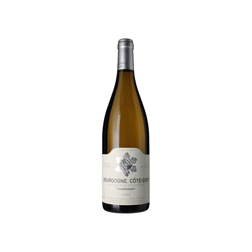 2023-bourgogne-cote-d-or-domaine-sylvain-bzikot__10465221280053.png