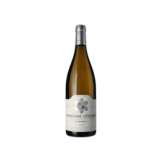 2023-bourgogne-cote-d-or-domaine-sylvain-bzikot__10465221280053.png