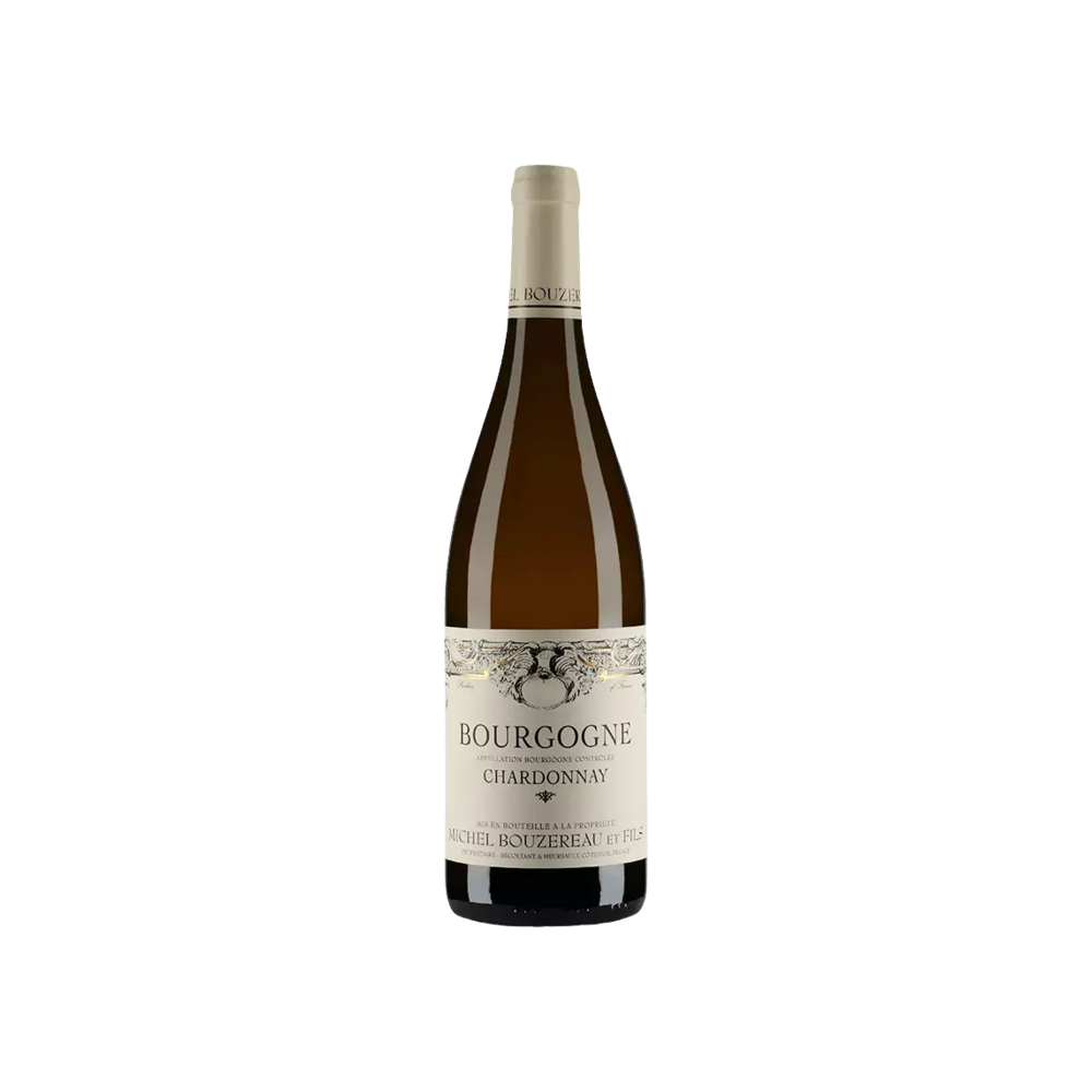 2023-domaine-michel-bouzereau-bourgogne-cote-dor__10500193419573.png