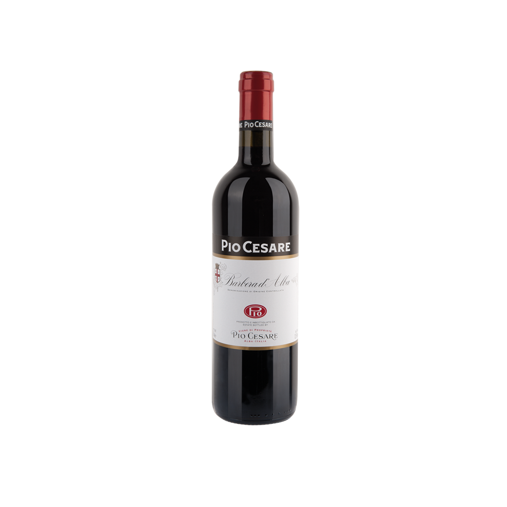 2021 Barbera d'Alba Pio Cesare