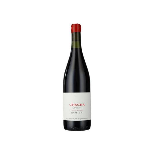 2024 Cincuenta y Cinco Pinot Noir Bodega Chacra