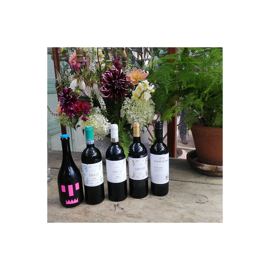 28th August: Introduction to Wine Pairing – Marche