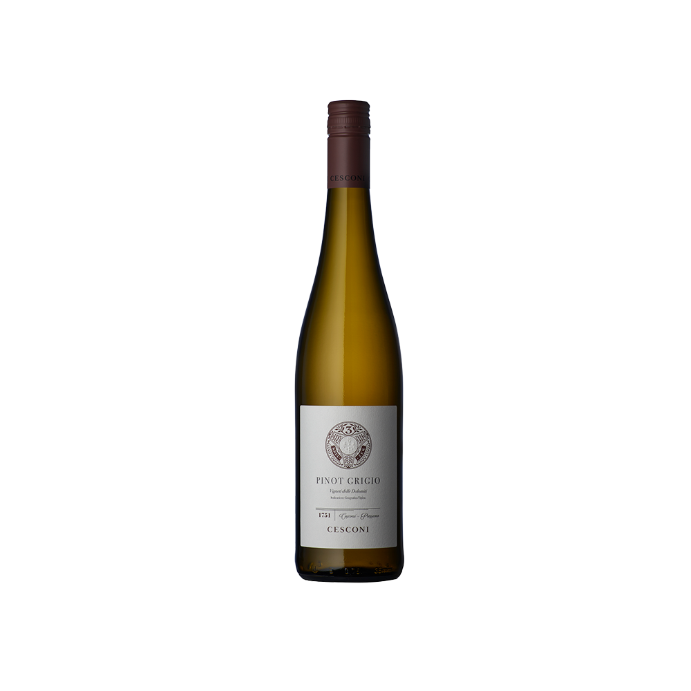 2023 Pinot Grigio Cesconi