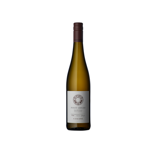 2023 Pinot Grigio Cesconi