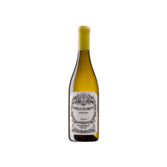 2021 Regueiron Godello Virgen del Galir CVNE