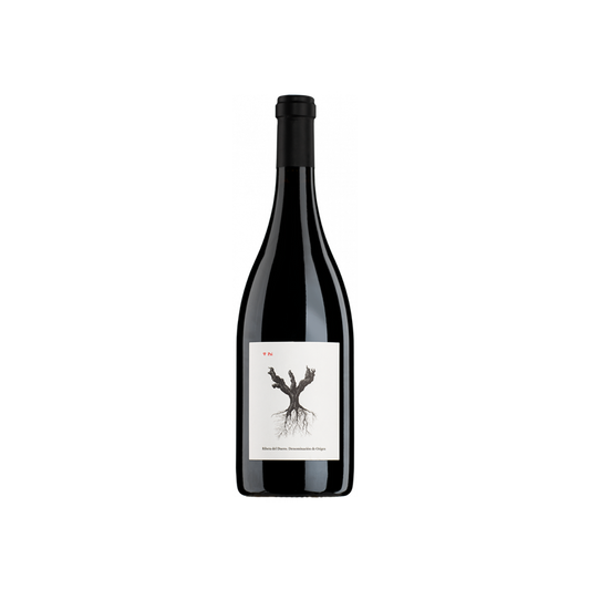 2022 Ribera del Duero 'PSI' Dominio di Pingu Bodega Y Vinedos Alnardo