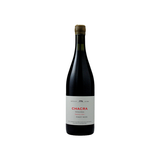 2023 Treinta y Dos Pinot Noir Bodega Chacra