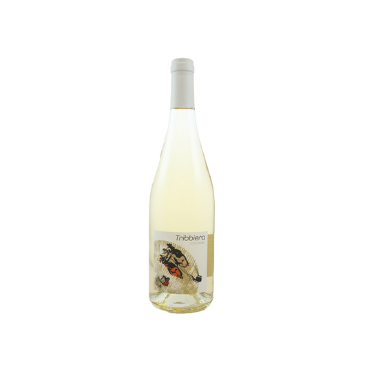 2023 Tribbiera Blanc Domaine Culombu