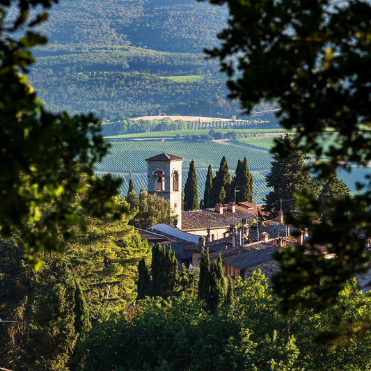 23rd April Wine Pairing & Canapes - Wine for Spring