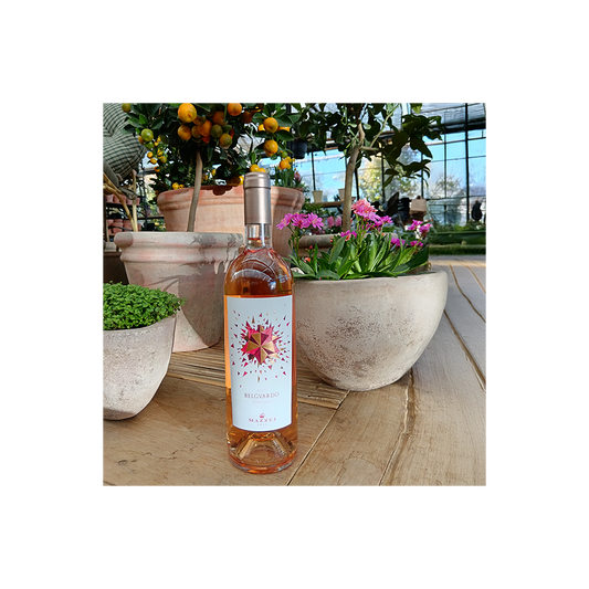 24th July: Introduction to Wine Pairing – Rose