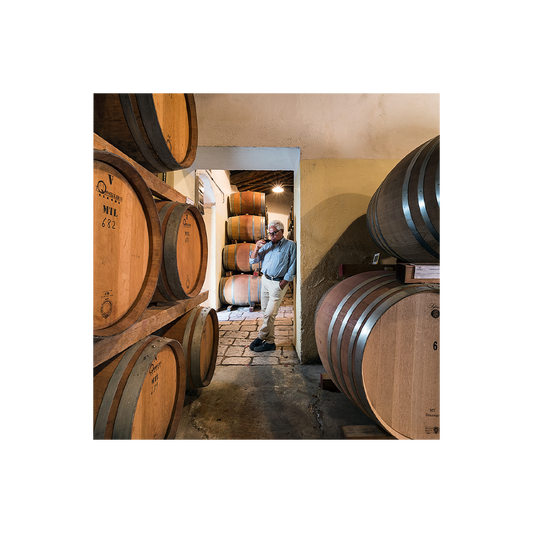 Zisola Premium Wine Tour