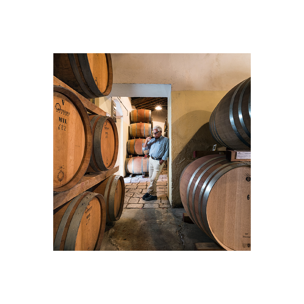 Zisola Premium Wine Tour