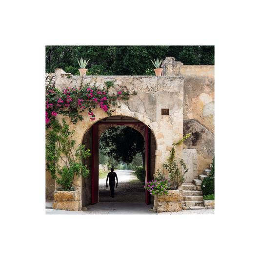 Zisola Classic Wine Tour