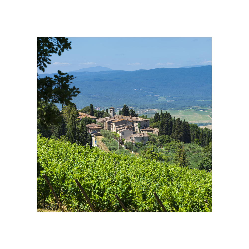 Coastal Tuscan Selection