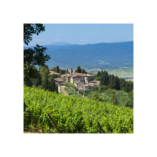 Coastal Tuscan Selection