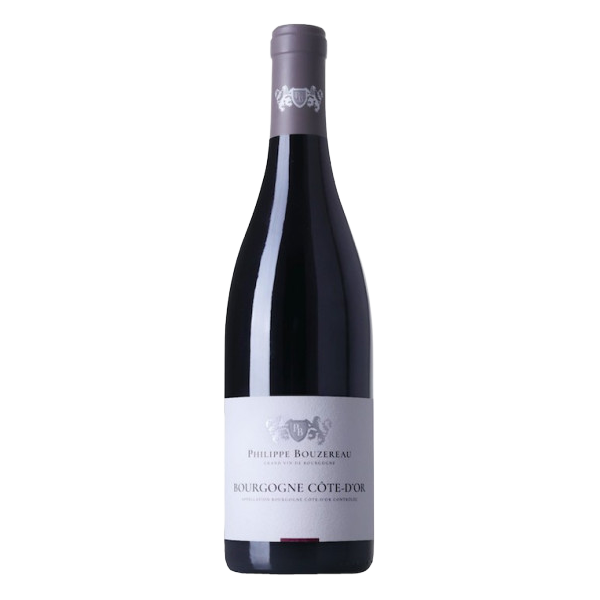 2020 Philippe Bouzereau Cote d'Or Pinot Noir