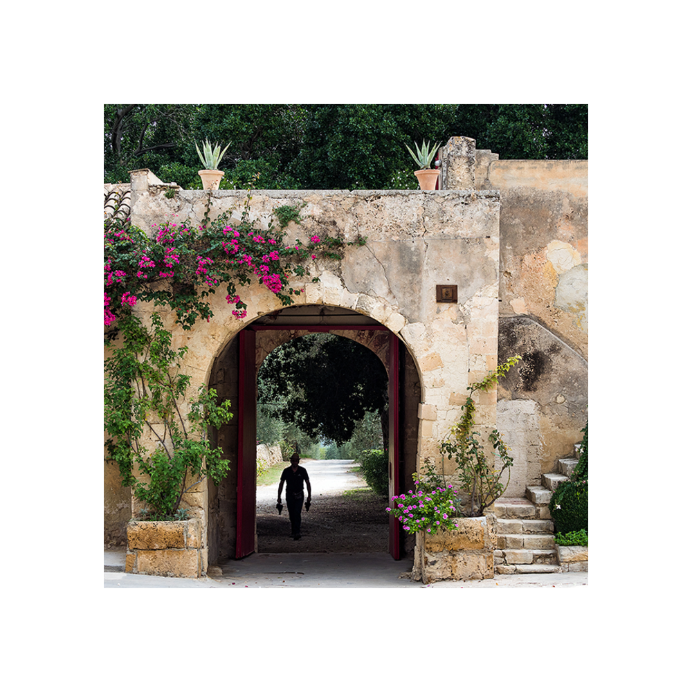 zisola-classic-wine-tour__10022485524789.png