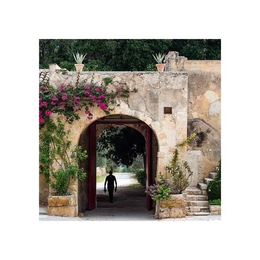 zisola-classic-wine-tour__10022485524789.png