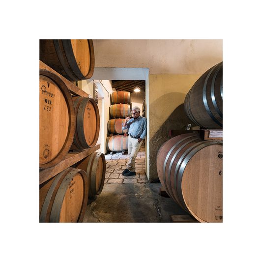 zisola-premium-wine-tour__10022488080693.png